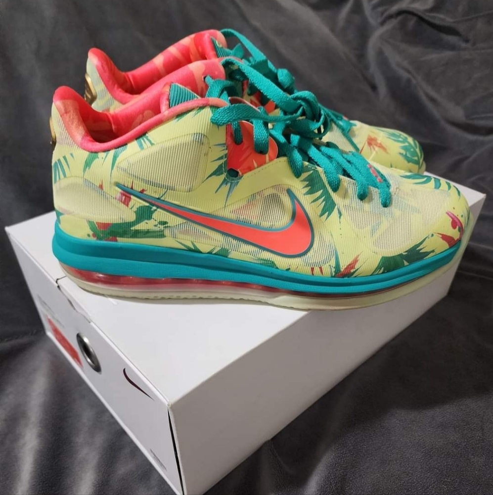 Lebron 9 low